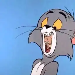 派大星卡通头像超萌猫和