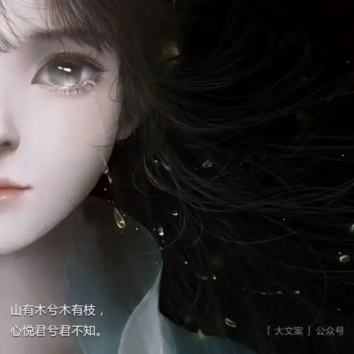  古风文案出尘脱俗的高级古风美句