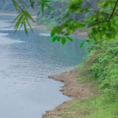 夏日唯美风景头像清爽有意境