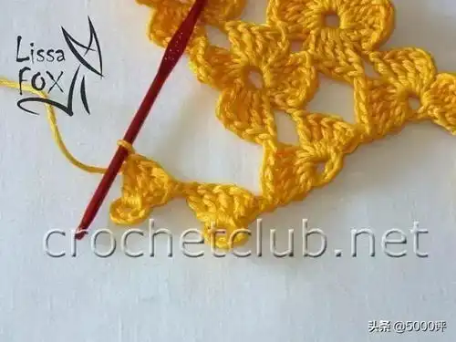  漂亮的四叶草钩花,真美