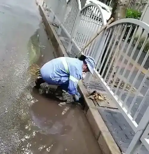  暴雨过后,一路是他们弯腰的背影