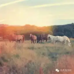  睁开朦胧的睡眼,给我一个明亮的世界