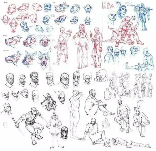  素描速写人体结构资料