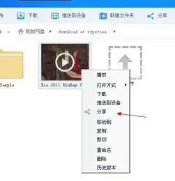  百度云管家下载无法完成下载,网络异常