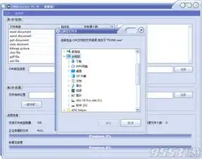  chkrecovery下载chkrecovery文件删除还原工具v3.3.0免费版下载9553下载