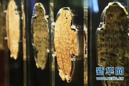  清华首届古文字班开班,媒体让冷门绝学的成果不冷门