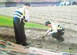  台2名老农吵架一人埋手机警察听音辨位终破案