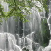  自然风景摄影微信头像,大自然美丽风景图片