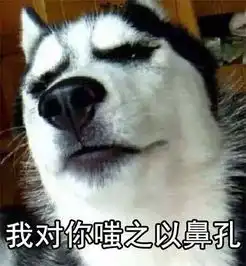 柴犬哈士奇头像图片su
