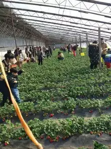  4月30日到6月5日大连瑛琦花木游乐园春游活动月