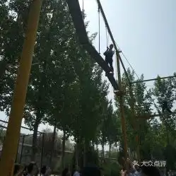 适合青少年的头像营地