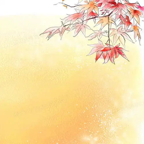  手绘枫叶背景背景图片素材免费下载psd格式800800像素熊猫办公