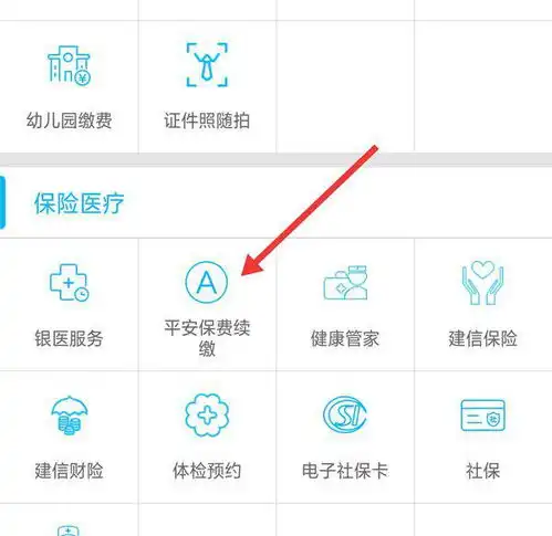  平安保险怎么在网上续交保费