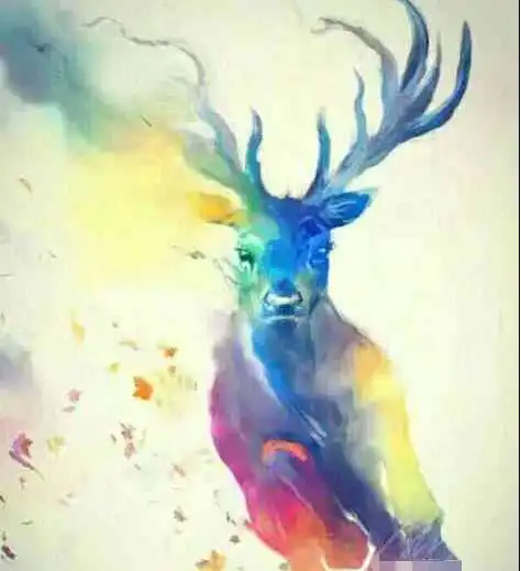 动物头像简笔画孔雀心理