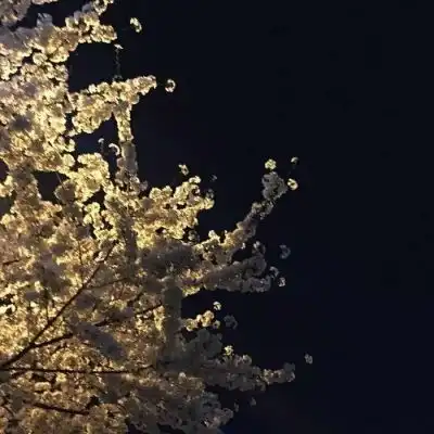  朋友圈背景图暗黑系微信背景风景静物头像我要个性网