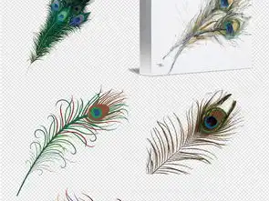  唯美孔雀矢量孔雀羽毛免抠素材图片模板下载132.71mb动物大全自然