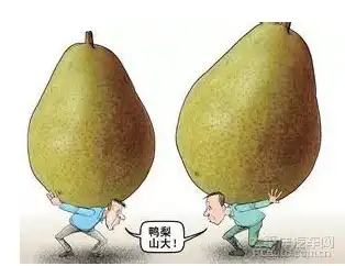  有鸭梨怎么破smart君让你压力归0