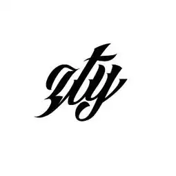  求帮忙制作一个白底黑字的字母头像zty各种字体谢谢了