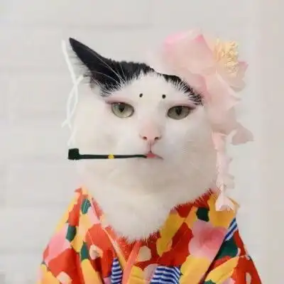  搞笑萌宠