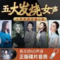  车载影音焕达车载音乐u盘汽车通用dts5.1原声场无损音源wavflac抖音流行经典老歌dj发烧人声优盘32g抓轨638首新款车型多少钱