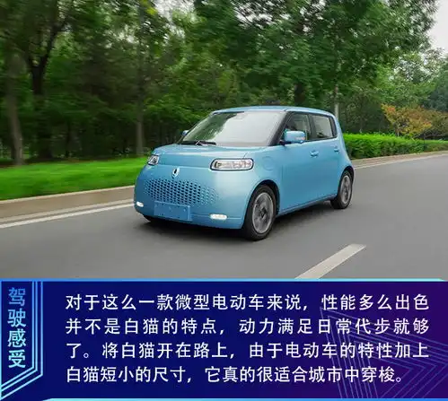 都市新萌宠抢先试驾欧拉白猫