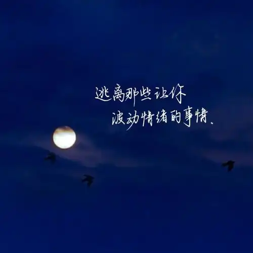  很丧又很高级的文案