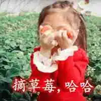  去摘草莓配图文字春天去摘草莓的配图微信头像图片大全