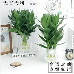  2018花卉园艺主图