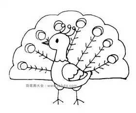  学画孔雀