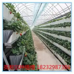  大棚草莓种植槽a字架基质栽培槽