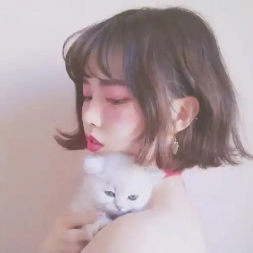 白小姐生肖的头像网红