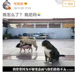  林更新为拍大片亲自啃西瓜,明明长的很偶像,却总是做着谐星的事儿