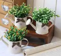  花卉园艺价格_仙桃花卉盆景之苏格兰薄荷--仙桃常青花卉园艺_仙桃花卉图片-黄页88网