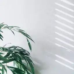  简约森系风景静物头像2018南风景静物头像我要个性网