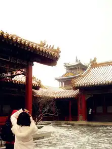  紫之高贵,禁之威严历年积攒图片