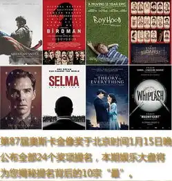  第87届奥斯卡提名十宗最