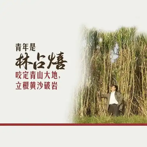  致青春,致青年
