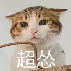 萌宠可爱猫咪头像表情包