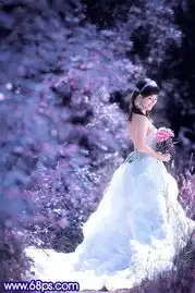  photoshop外景婚片调色教程梦幻蓝紫色调
