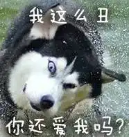  哈士奇表情图片二哈搞笑图片表情带字