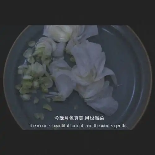  超级仙气的文案