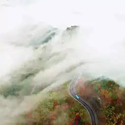  漫山红枫尽染去浙江7个赏枫地邂逅最美秋天