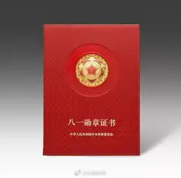  代表军队最高荣誉的八一勋章长这样图