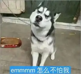 哈士奇被送回农村改造,两个月后去接它,推门一看顿时不淡定了