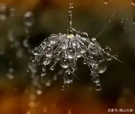  人到六十,要隐藏好这三个秘密,不说破,才是对余生最好的交代