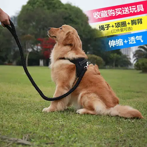  遛狗狗牵引绳栓狗绳子狗链子小型中型大型犬金毛拉布拉多胸背结实