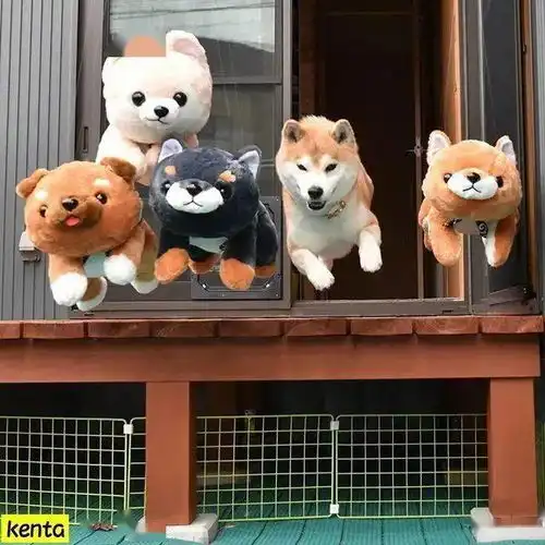  给自家两只柴犬买了几十只玩偶,这画风来感受一下