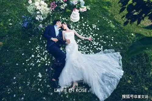王佳何嘉文结婚照