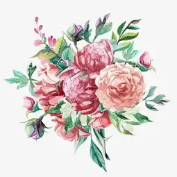  手绘花卉素材图片免费下载高清卡通手绘png千库网图片编号3544392