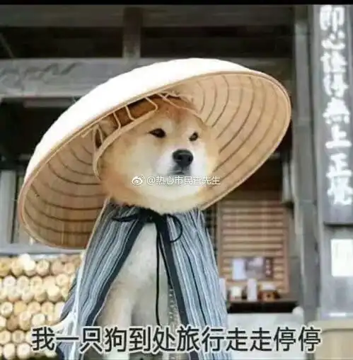  我的收藏夹